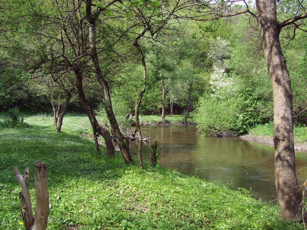 Язловець з panoramio.com - Язловец