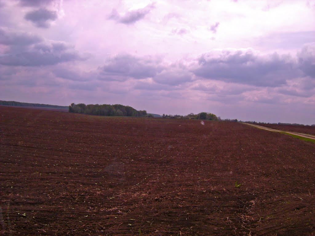 Велика Мочулка з panoramio.com - Велика Мочулка