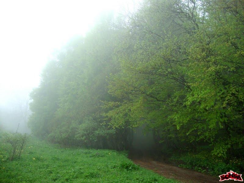 Генеральське з panoramio.com (ч.3) - Generalske