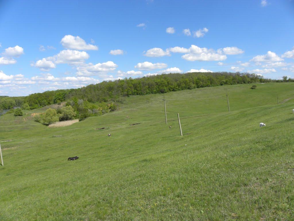 Хмельове з panoramio.com - Хмельове