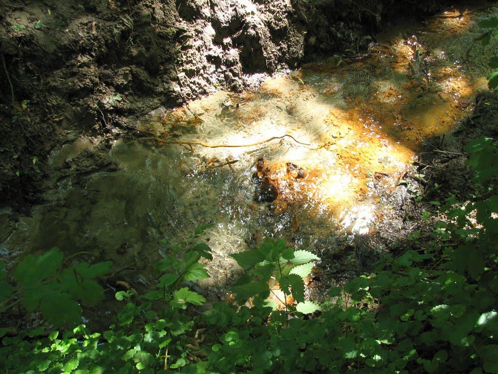 Підлісне з panoramio.com - Підлісне