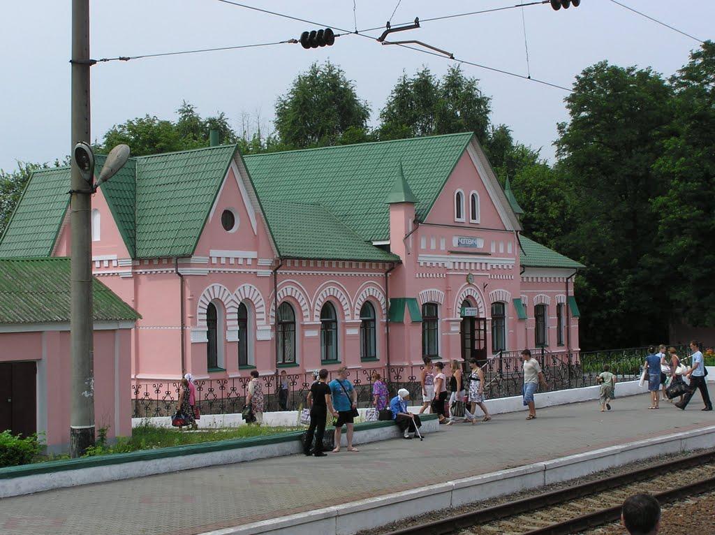 Пристанційне з panoramio.com - Пристанційне