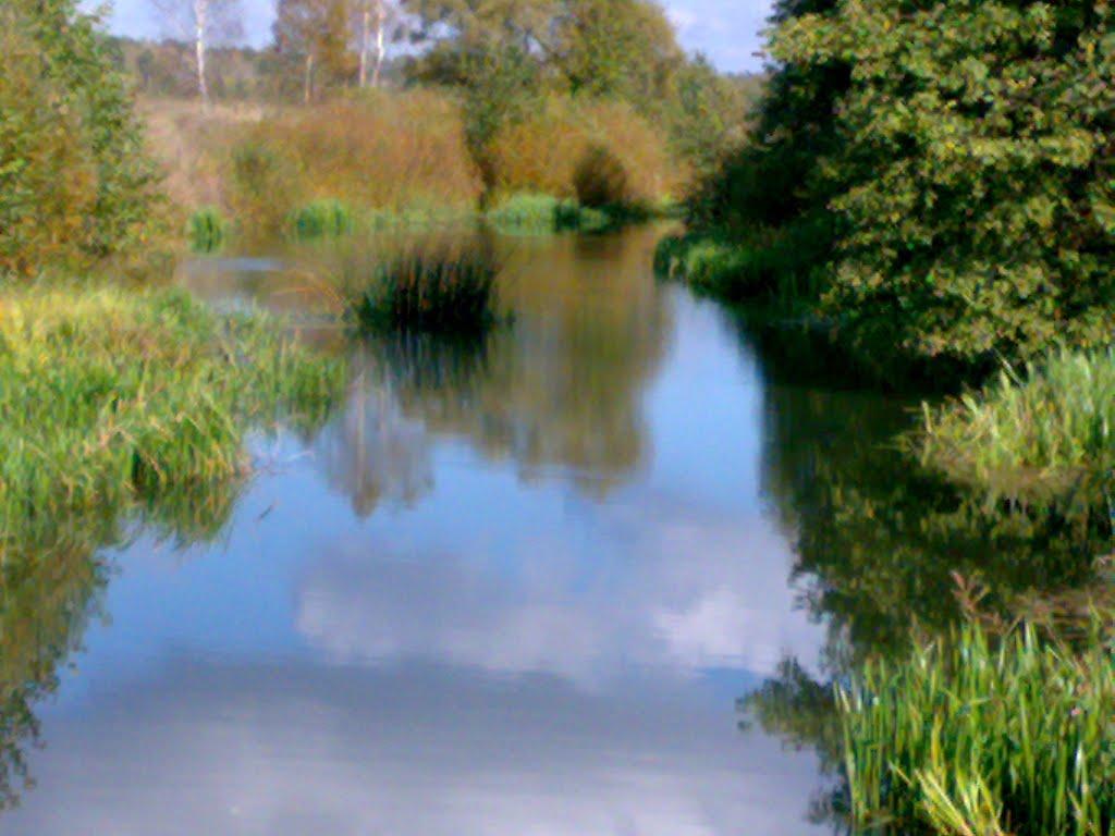 Неплюєве з panoramio.com - Неплюєве