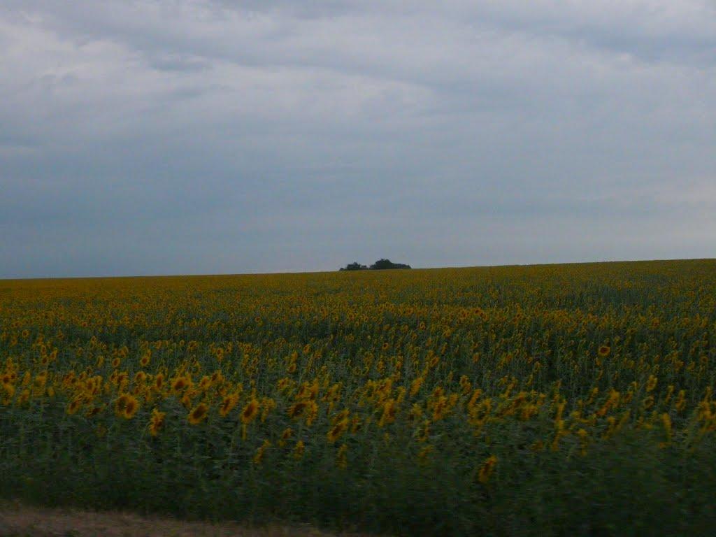 Гурівка з panoramio.com - Гурівка