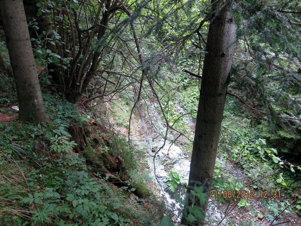 Манява з panoramio.com - Манява