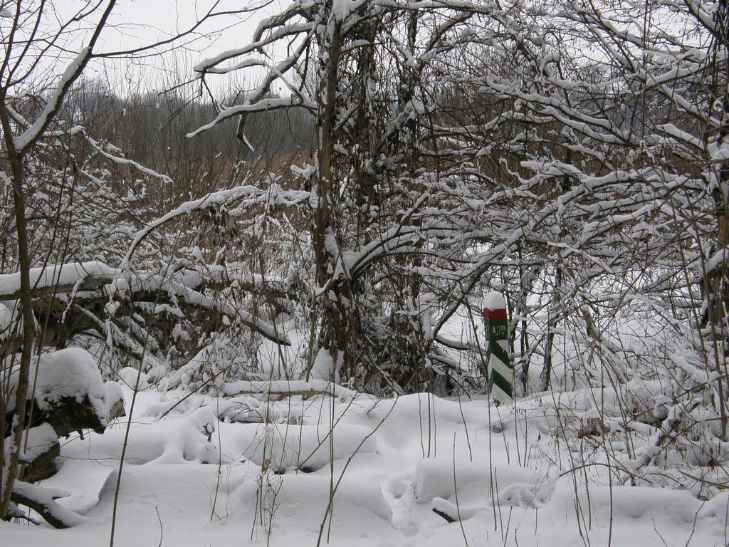 Заріг з panoramio.com - Заріг