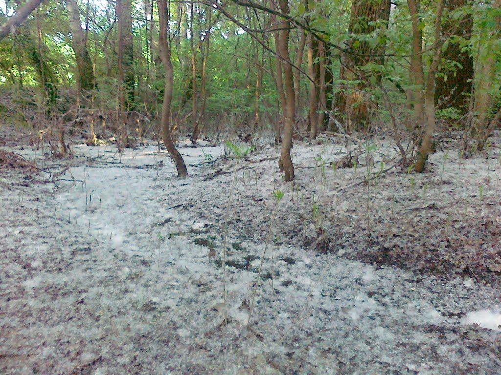 Піски з panoramio.com - Піски