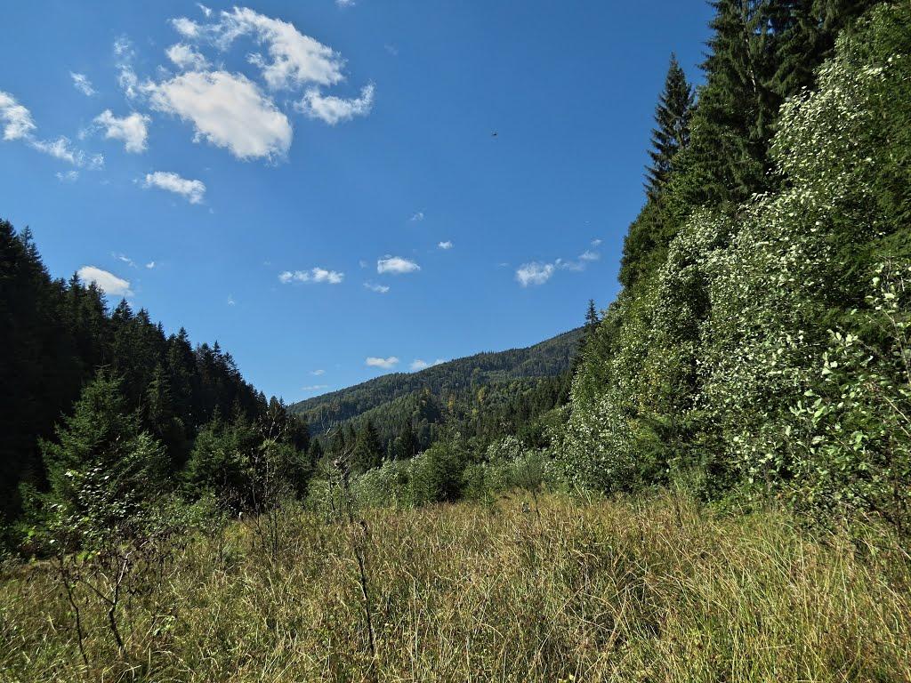 Нижня Рожанка з panoramio.com - Нижняя Рожанка