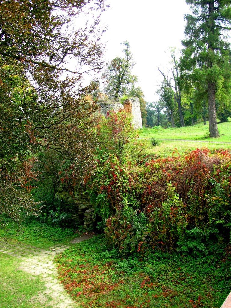 Свірж з panoramio.com - Свирж
