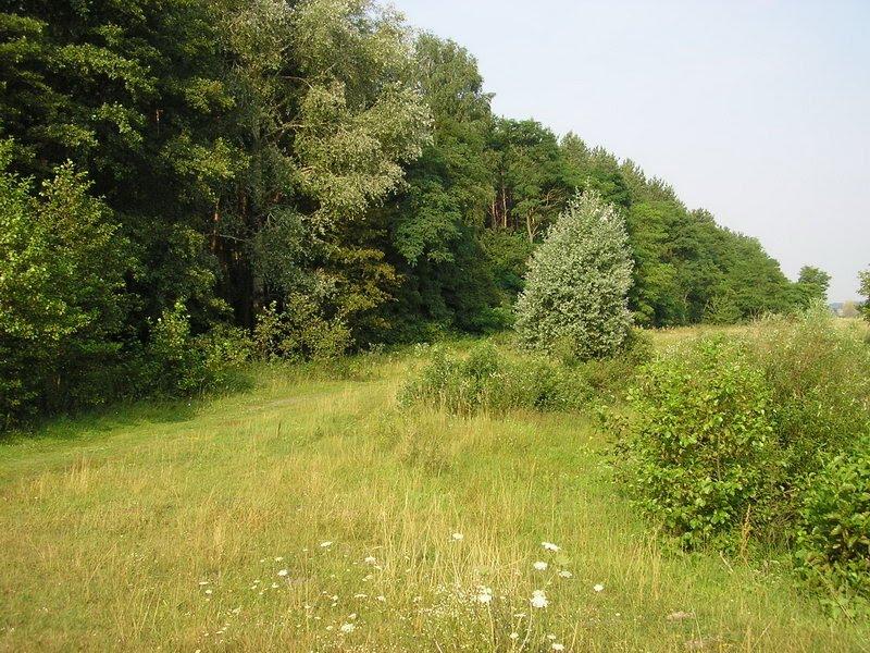 Слабин з panoramio.com - Slabyn