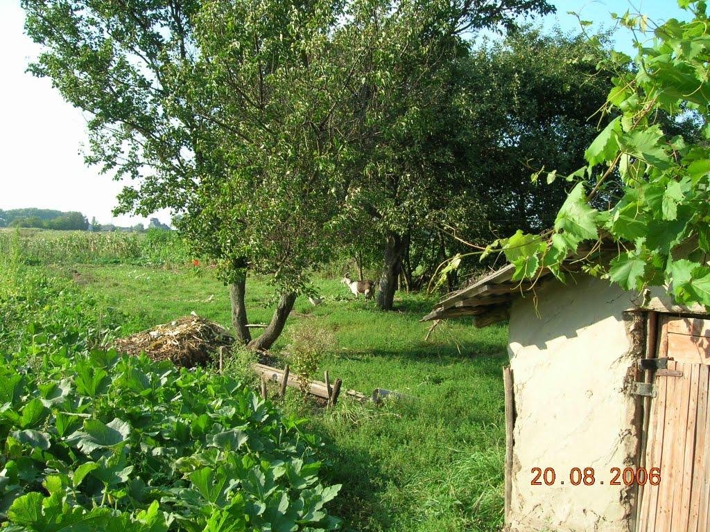 Дорогинка з panoramio.com - Дорогинка