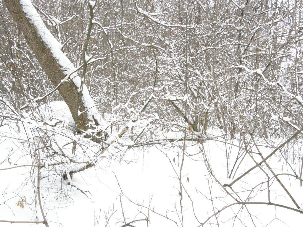 Заріг з panoramio.com - Заріг