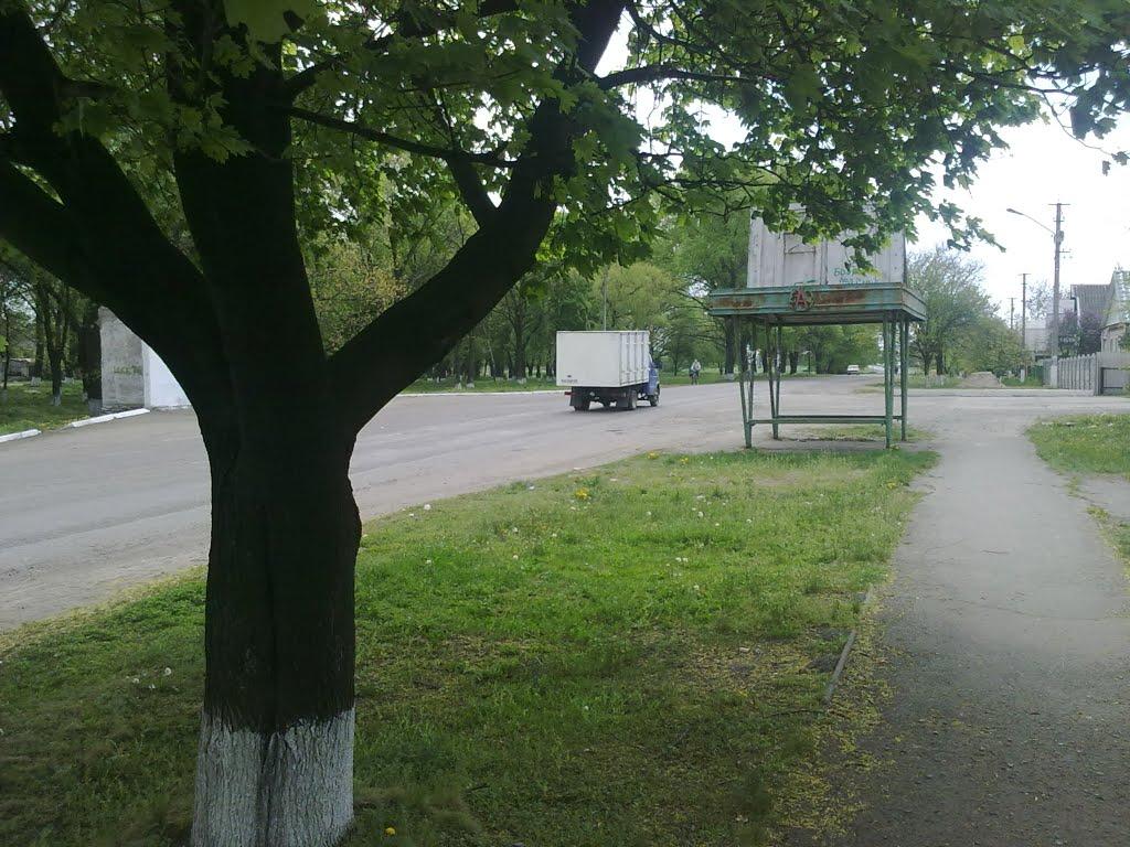 Петропавлівка з panoramio.com - Петропавлівка