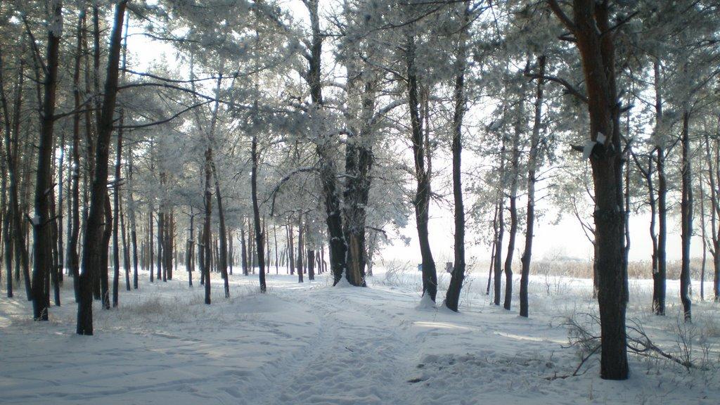 Петропавлівка з panoramio.com - Петропавлівка