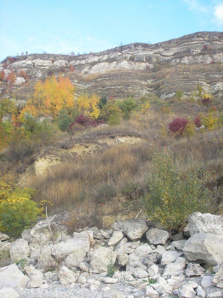 Кормань з panoramio.com - Кормань