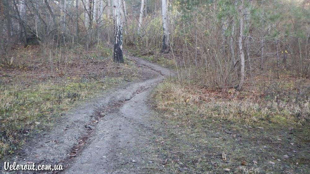 Баштанівка з panoramio.com - Баштанівка