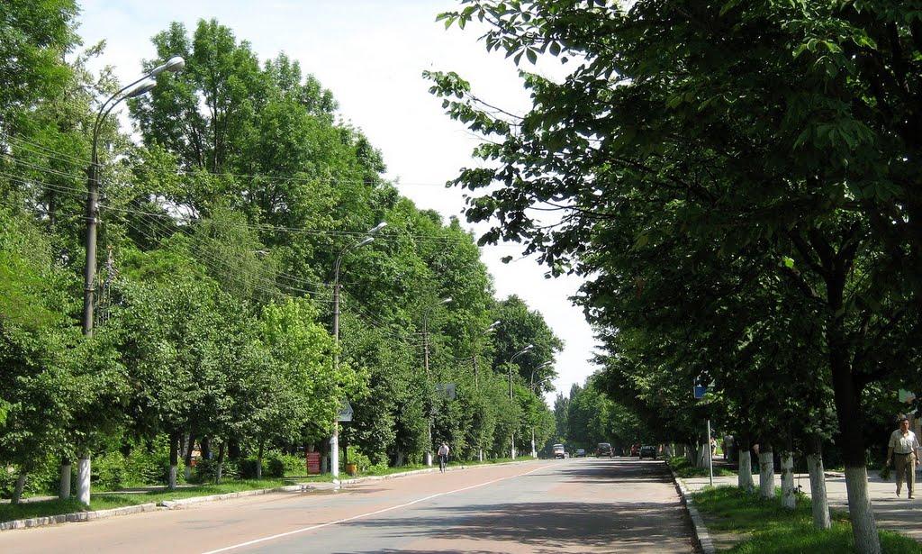 Шепетівка з panoramio.com (ч.2) - Шепетовка