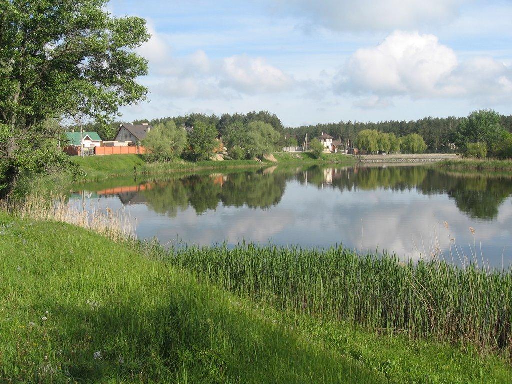 Орлівщина з panoramio.com - Орловщина