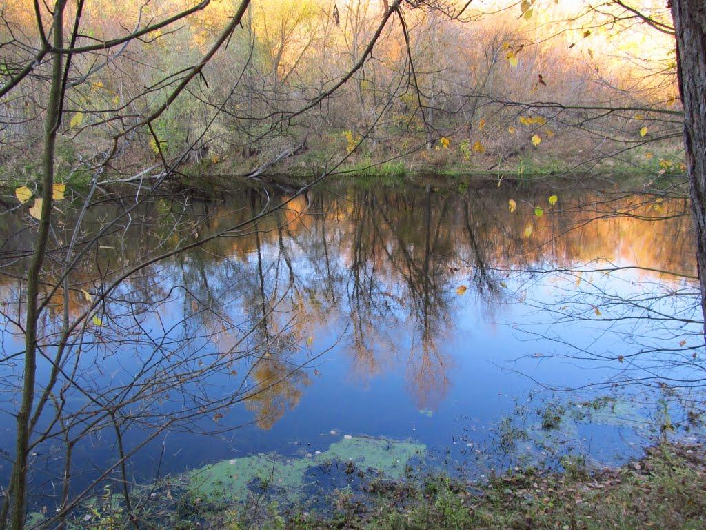 Кам'яне з panoramio.com - Кам'яне