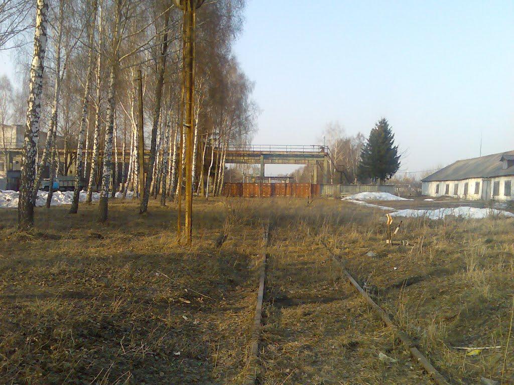 Пашківці з panoramio.com - Пашковцы