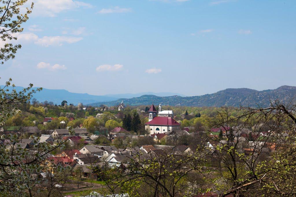 Великий Бичків з panoramio.com - Великий Бичків