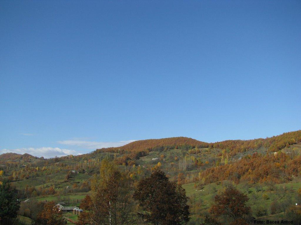 Великий Бичків з panoramio.com - Великий Бичків