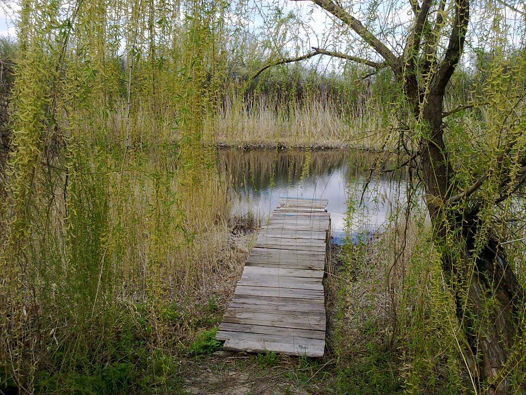 Петропавлівка з panoramio.com - Петропавлівка