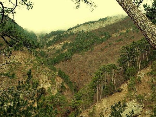 Совєтське з panoramio.com (ч.2) - Советское