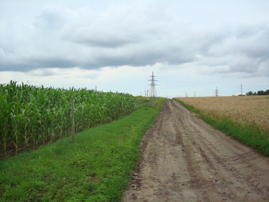 Побузьке з panoramio.com - Pobuzke