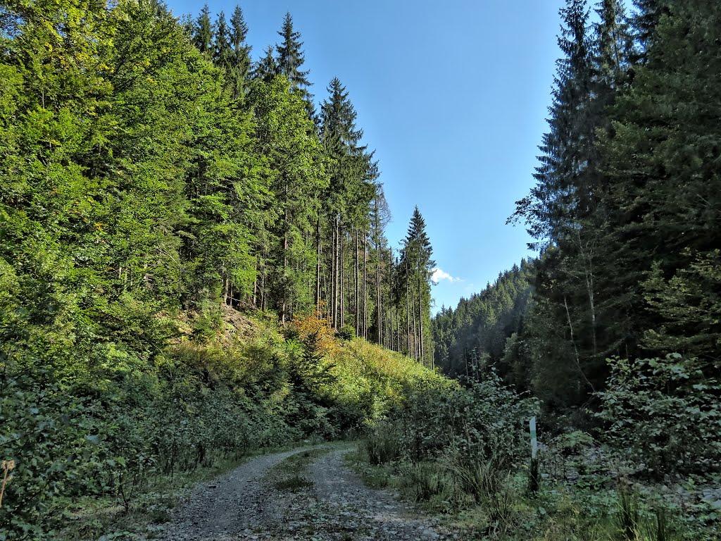 Нижня Рожанка з panoramio.com - Нижняя Рожанка