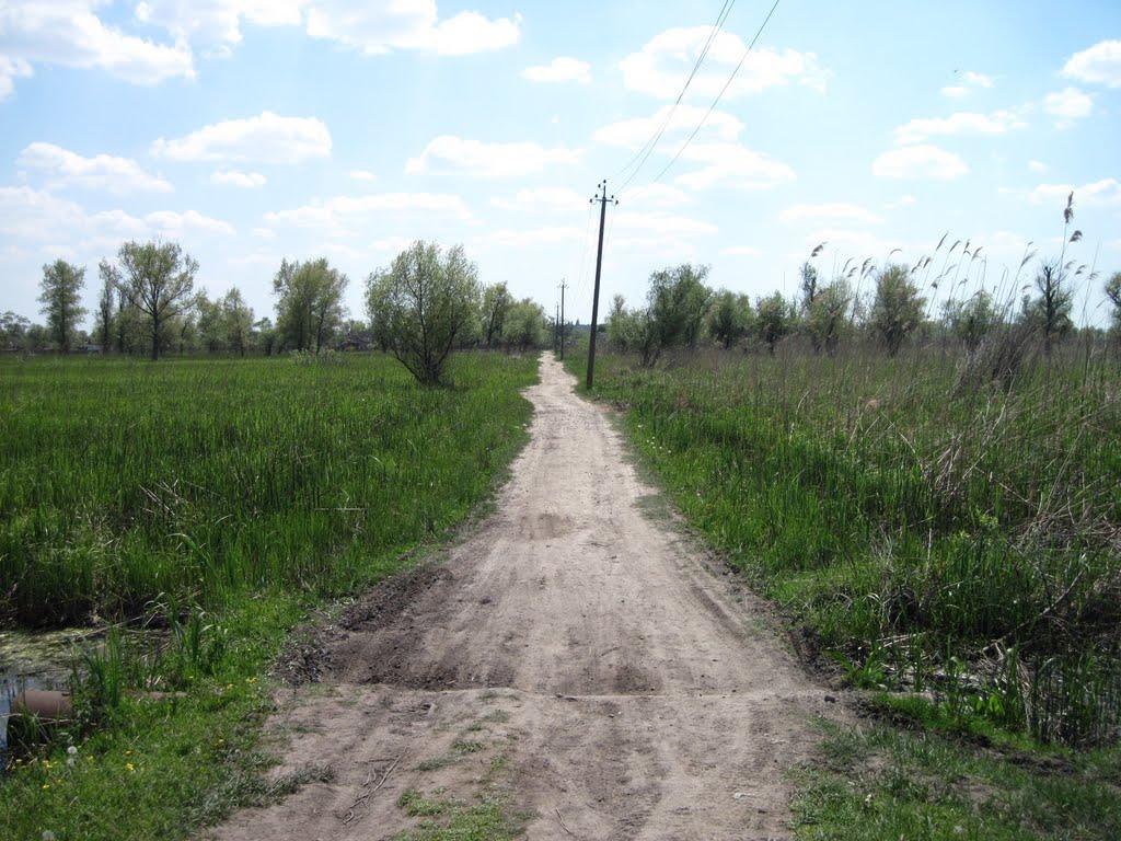 Гола Пристань з panoramio.com - Голая Пристань