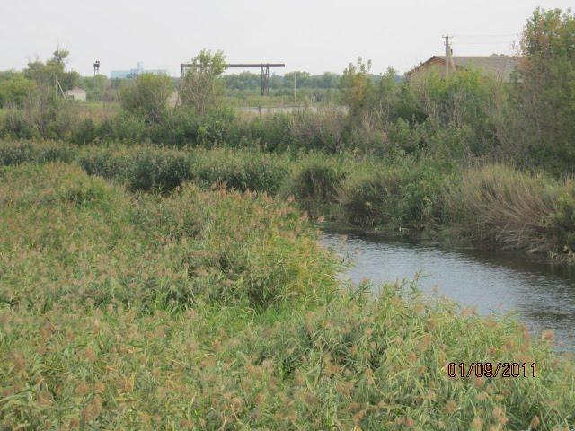 Петропавлівка з panoramio.com - Петропавлівка