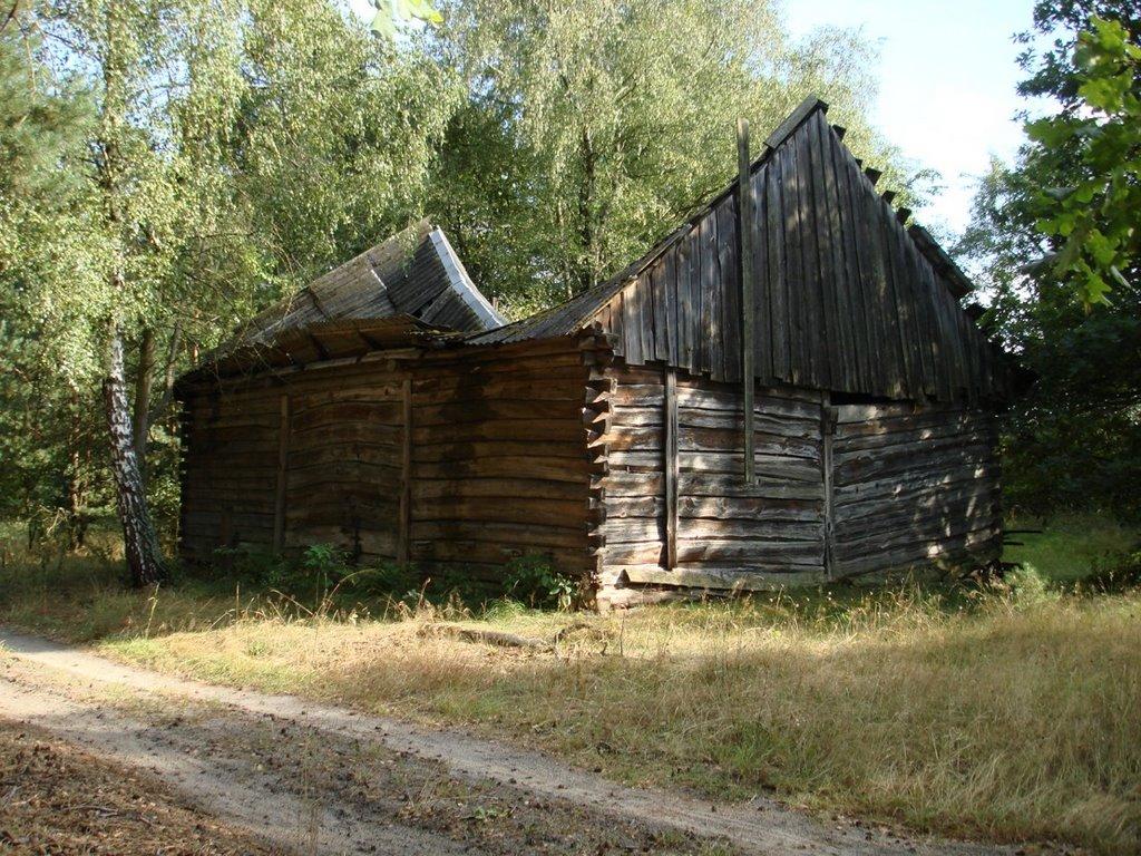 Хрипськ з panoramio.com - Khrypsk
