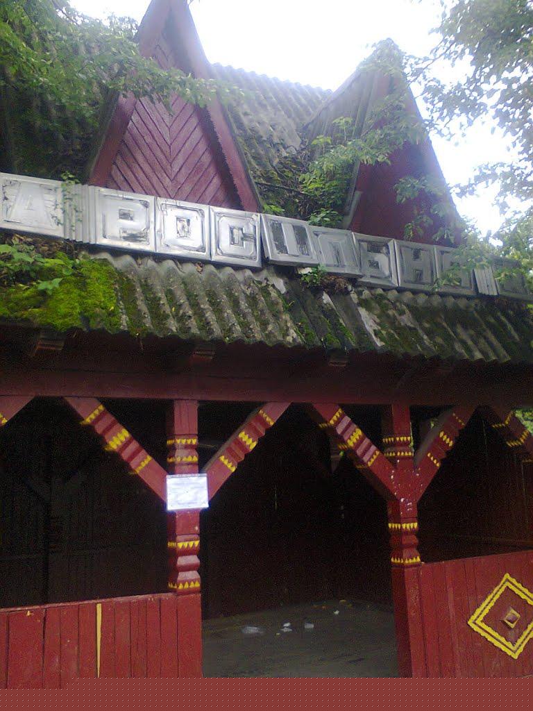 Чайкине з panoramio.com - Чайкине