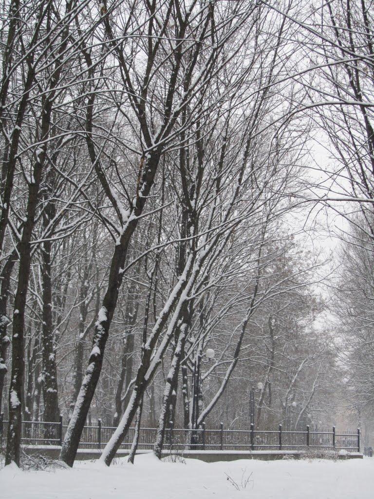 Коломия з panoramio.com - Коломыя