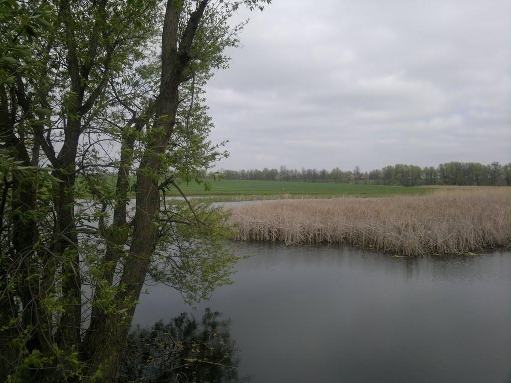 Ботвинівка з panoramio.com - Ботвинівка