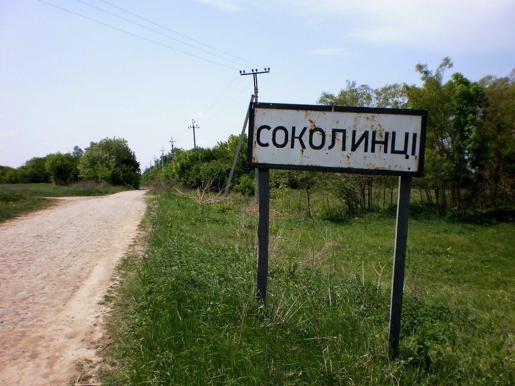Соколинці з panoramio.com - Sokolyntsi