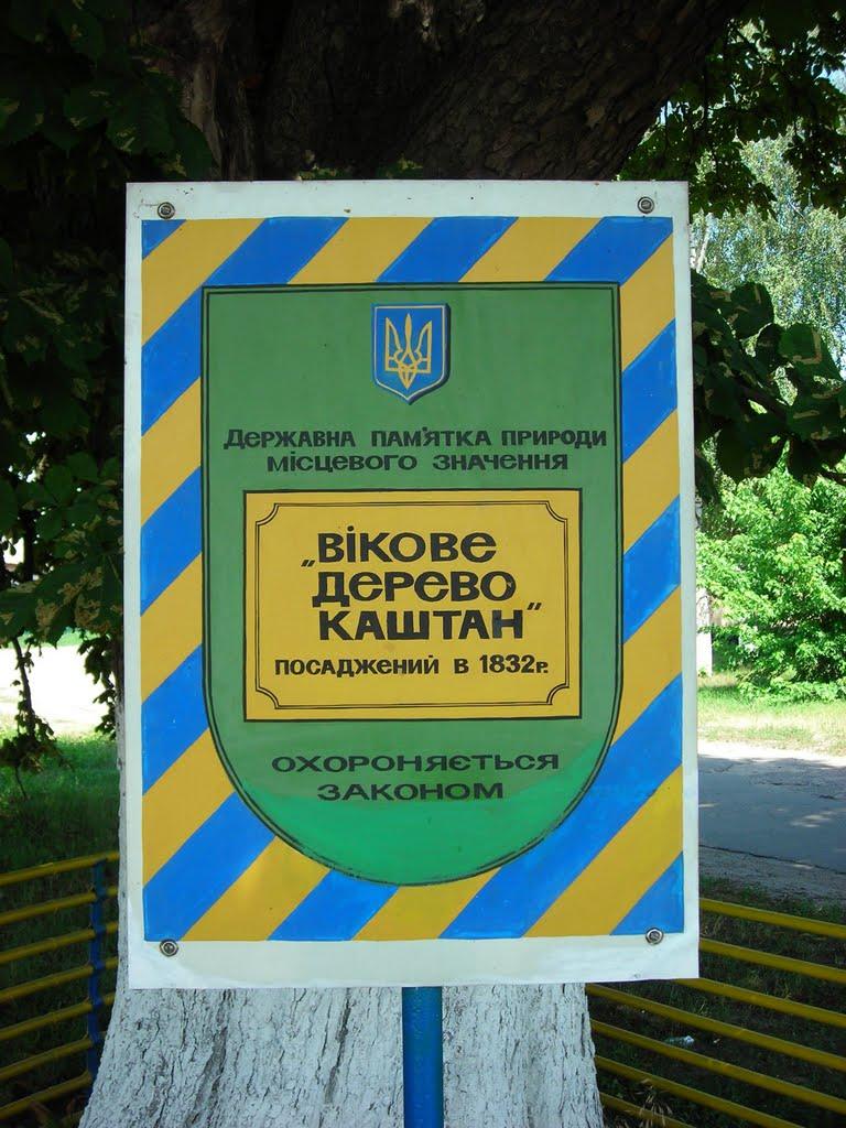 Дубіївка з panoramio.com - Дубіївка