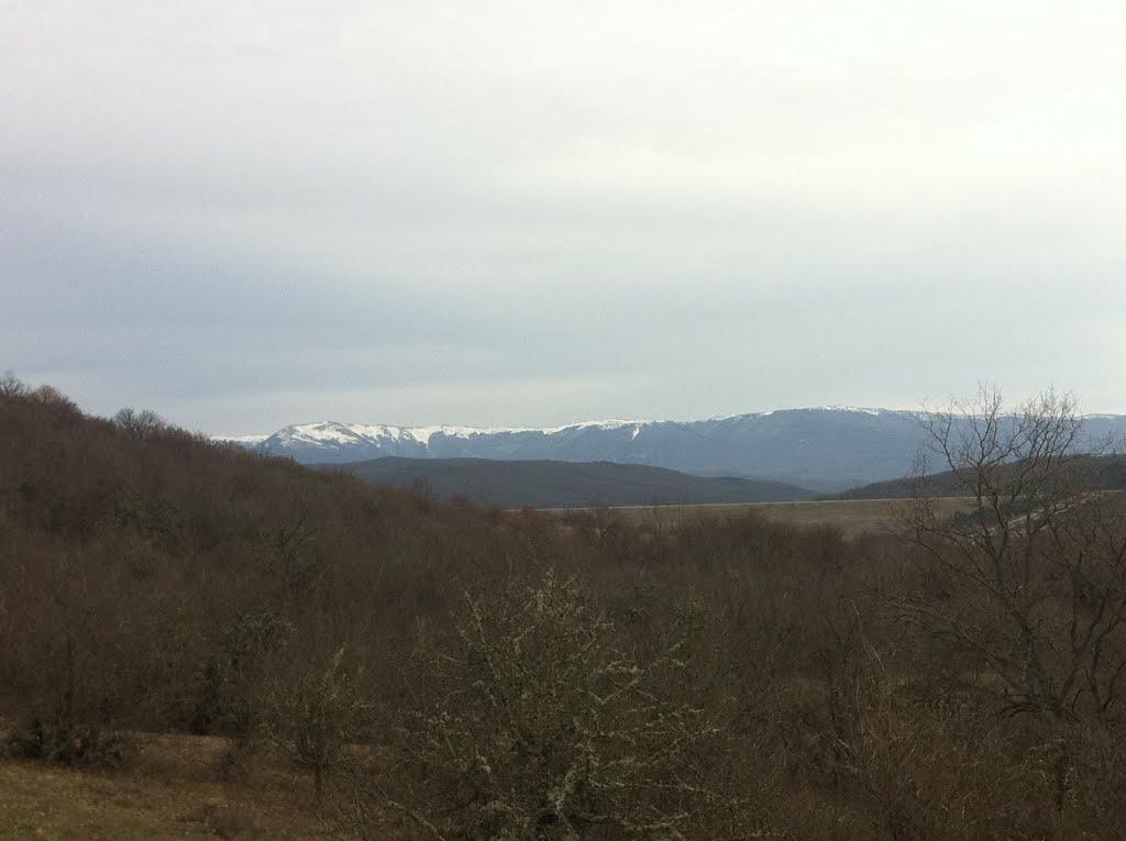 Синапне з panoramio.com - Синапное