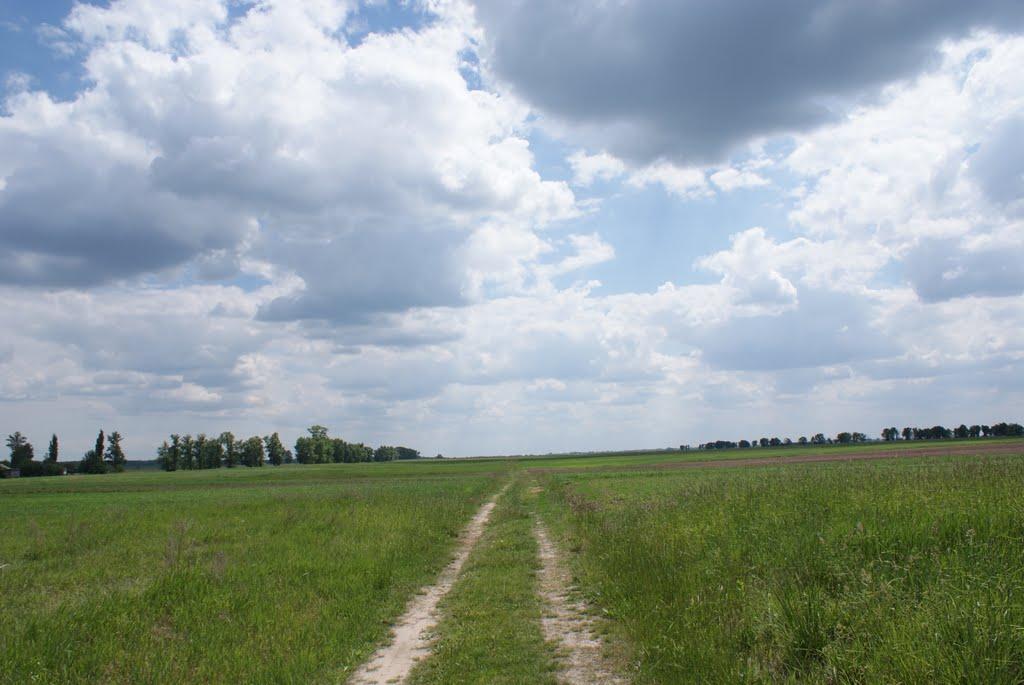 Бакаївка з panoramio.com - Бакаївка