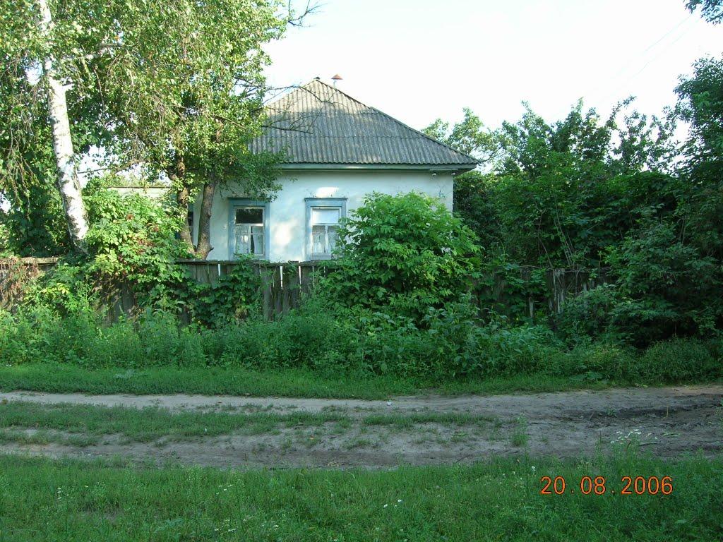 Дорогинка з panoramio.com - Дорогинка