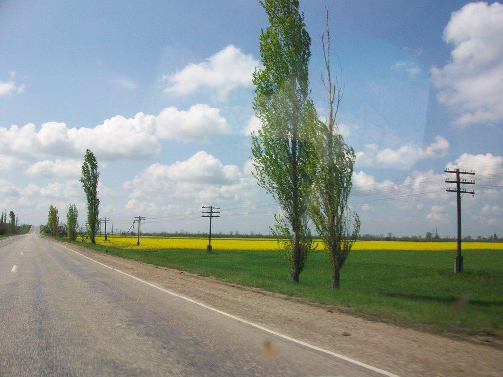 Польове з panoramio.com - Польове