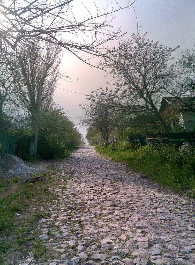 Іллічівське з panoramio.com - Ильичовское
