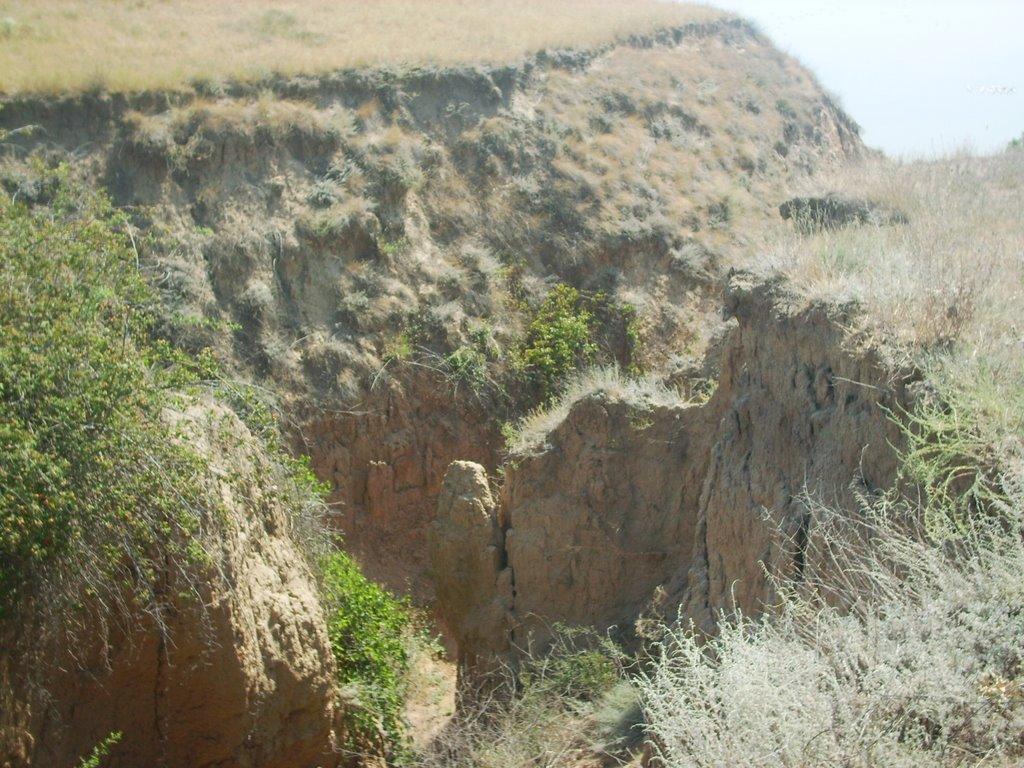 Парутине з panoramio.com - Парутине