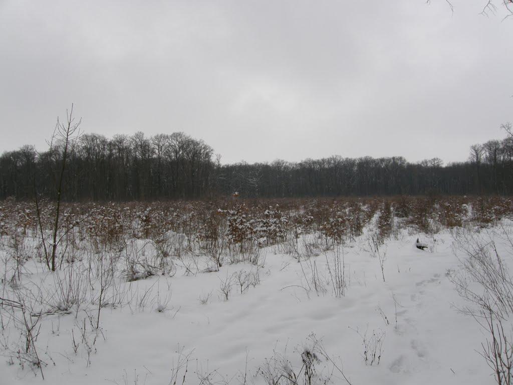 Заріг з panoramio.com - Заріг