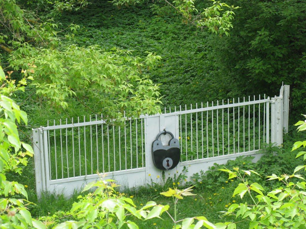 Перешпа з panoramio.com - Перешпа
