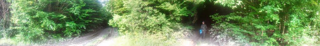 Тростянець з panoramio.com - Тростянець