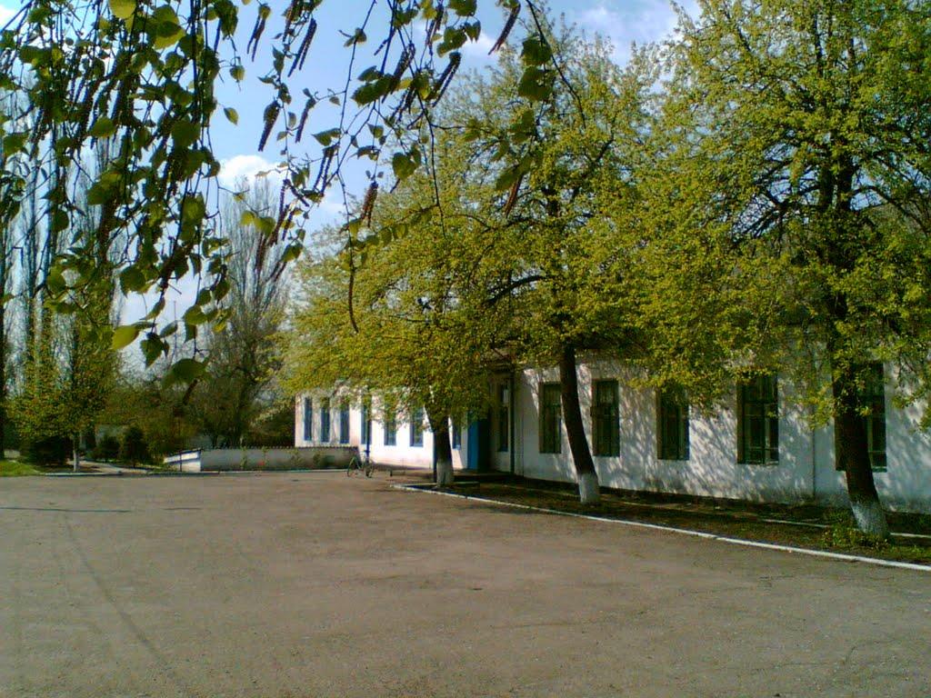 Петропавлівка з panoramio.com - Петропавлівка
