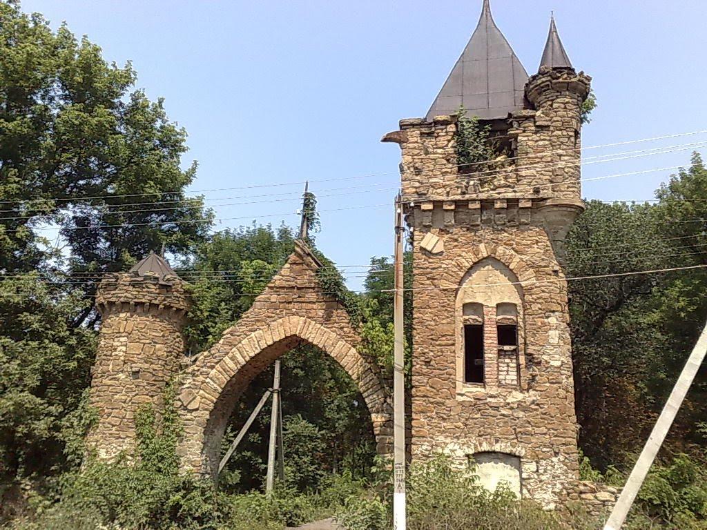 Селезнівка з panoramio.com - Селезневка