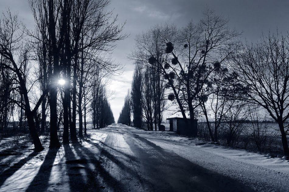 Новоархангельськ з panoramio.com - Новоархангельськ